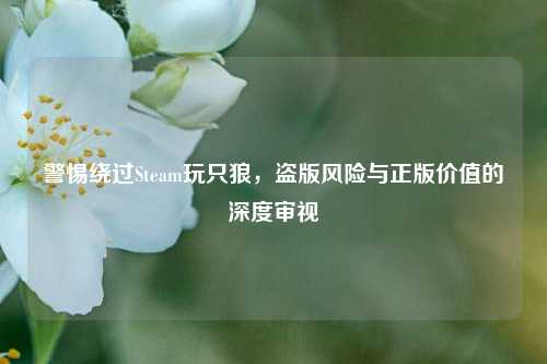 警惕绕过Steam玩只狼,盗版风险与正版价值的深度审视