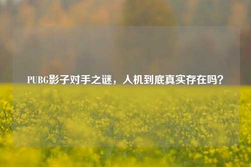 PUBG影子对手之谜，人机到底真实存在吗？