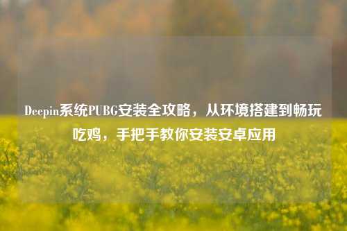 Deepin系统PUBG安装全攻略,从环境搭建到畅玩吃鸡,手把手教你安装安卓应用