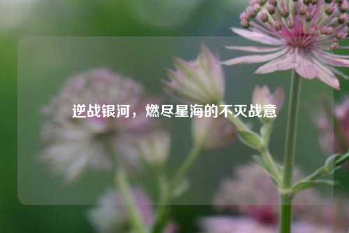 逆战银河,燃尽星海的不灭战意