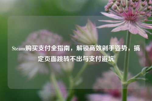 Steam购买支付全指南,解锁高效剁手姿势,搞定页面跳转不出与支付避坑