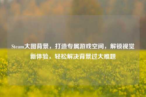 Steam大图背景,打造专属游戏空间,解锁视觉新体验,轻松解决背景过大难题