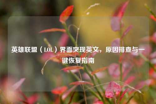 英雄联盟(LOL)界面突现英文,原因排查与一键恢复指南