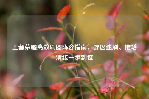 王者荣耀高效刷图阵容指南,野区速刷、推塔清线一步到位