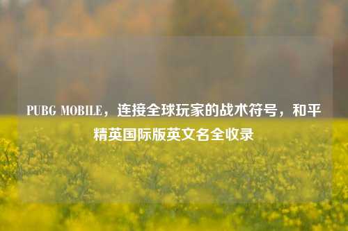 PUBG MOBILE,连接全球玩家的战术符号,和平精英国际版英文名全收录