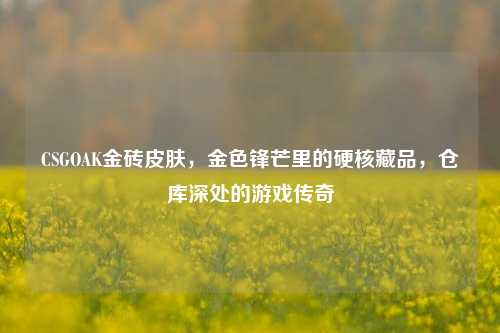 CSGOAK金砖皮肤,金色锋芒里的硬核藏品,仓库深处的游戏传奇