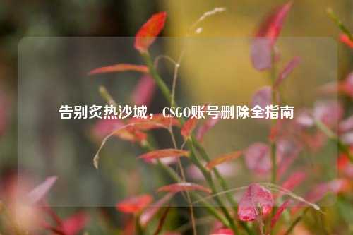 告别炙热沙城,CSGO账号删除全指南