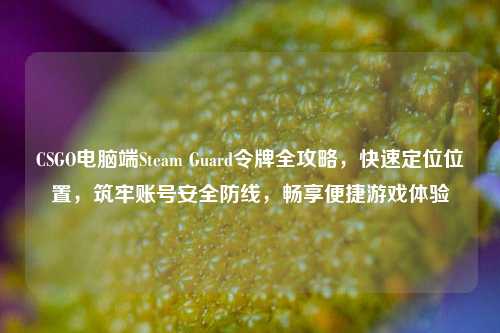 CSGO电脑端Steam Guard令牌全攻略，快速定位位置，筑牢账号安全防线，畅享便捷游戏体验