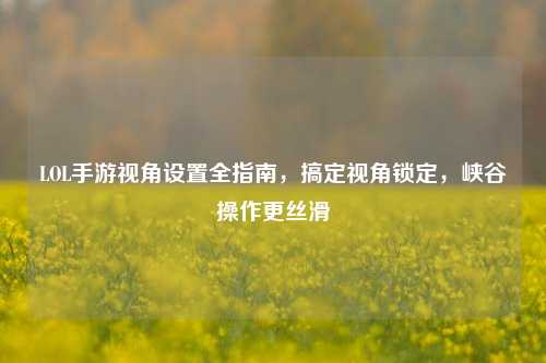 LOL手游视角设置全指南,搞定视角锁定,峡谷操作更丝滑