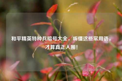 和平精英特种兵暗号大全,听懂这些常用语,才算真正入圈!