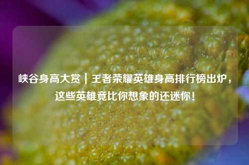 峡谷身高大赏|王者荣耀英雄身高排行榜出炉,这些英雄竟比你想象的还迷你!