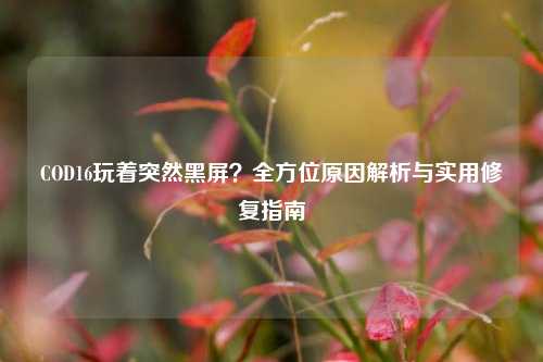 COD16玩着突然黑屏?全方位原因解析与实用修复指南