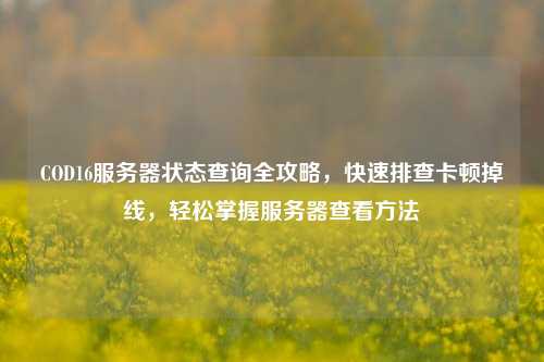 COD16服务器状态查询全攻略,快速排查卡顿掉线,轻松掌握服务器查看方法