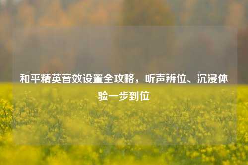 和平精英音效设置全攻略,听声辨位、沉浸体验一步到位