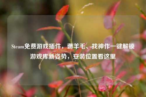 Steam免费游戏插件,薅羊毛、找神作一键解锁游戏库新姿势,安装位置看这里