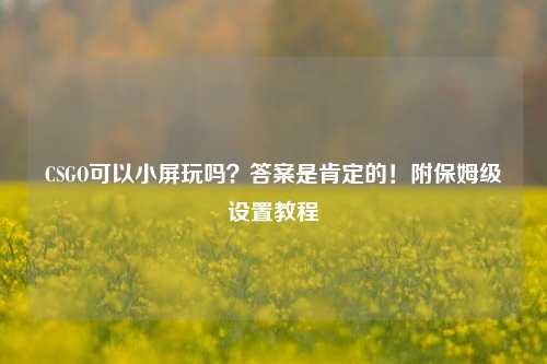 CSGO可以小屏玩吗?答案是肯定的!附保姆级设置教程