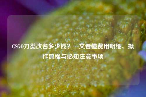CSGO刀类改名多少钱?一文看懂费用明细、操作流程与必知注意事项