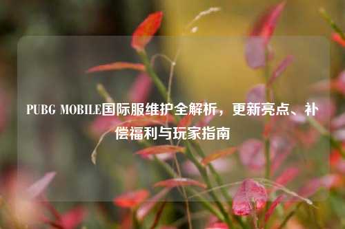 PUBG MOBILE国际服维护全解析，更新亮点、补偿福利与玩家指南