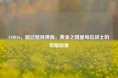 COD16,踏过枪林弹雨,黄金之路是每位战士的荣耀勋章
