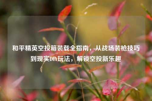 和平精英空投箱装载全指南，从战场装枪技巧到现实DIY玩法，解锁空投新乐趣
