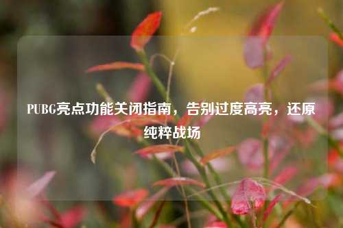 PUBG亮点功能关闭指南,告别过度高亮,还原纯粹战场