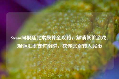 Steam阿根廷比索换算全攻略,解锁低价游戏、规避汇率支付陷阱,教你比索转人民币