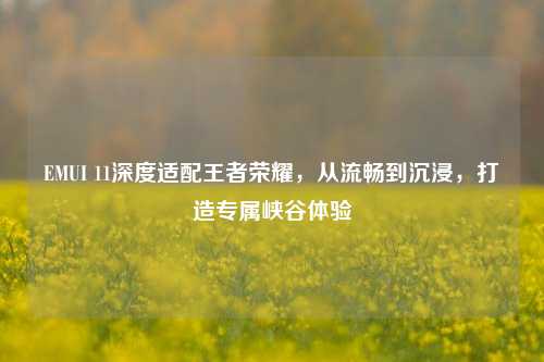 EMUI 11深度适配王者荣耀,从流畅到沉浸,打造专属峡谷体验