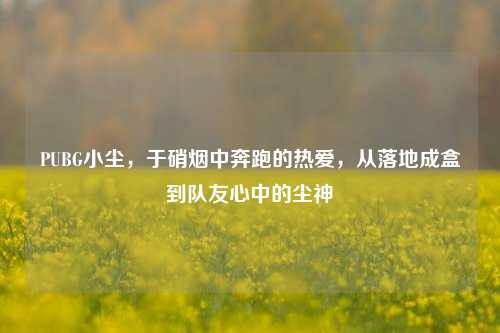 PUBG小尘,于硝烟中奔跑的热爱,从落地成盒到队友心中的尘神
