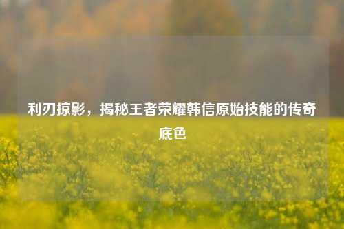 利刃掠影,揭秘王者荣耀韩信原始技能的传奇底色