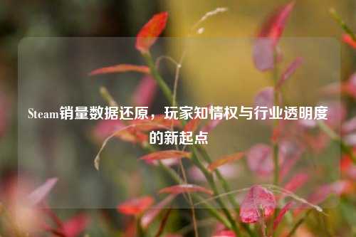 Steam销量数据还原,玩家知情权与行业透明度的新起点