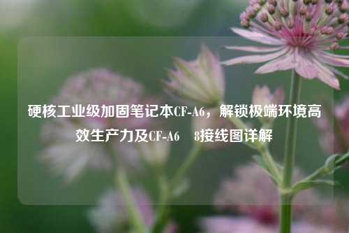 硬核工业级加固笔记本CF-A6,解锁极端环境高效生产力及CF-A6–8接线图详解