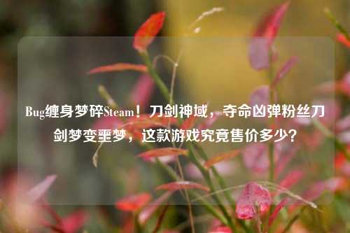 Bug缠身梦碎Steam！刀剑神域，夺命凶弹粉丝刀剑梦变噩梦，这款游戏究竟售价多少？