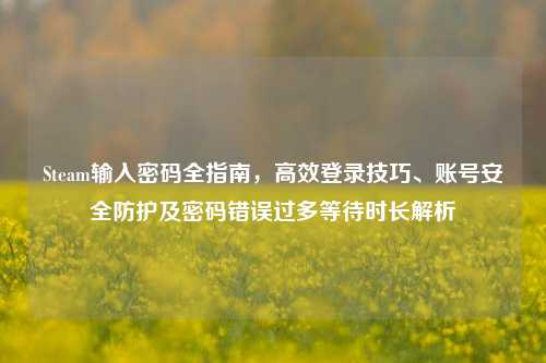 Steam输入密码全指南，高效登录技巧、账号安全防护及密码错误过多等待时长解析