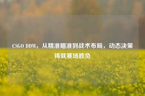 CSGO DDM,从精准瞄准到战术布局,动态决策铸就赛场胜负