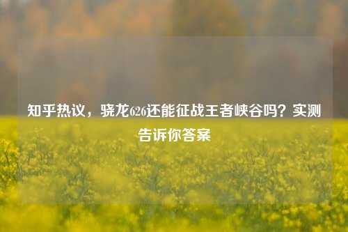知乎热议,骁龙626还能征战王者峡谷吗?实测告诉你答案