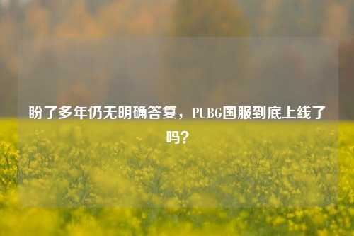 盼了多年仍无明确答复，PUBG国服到底上线了吗？