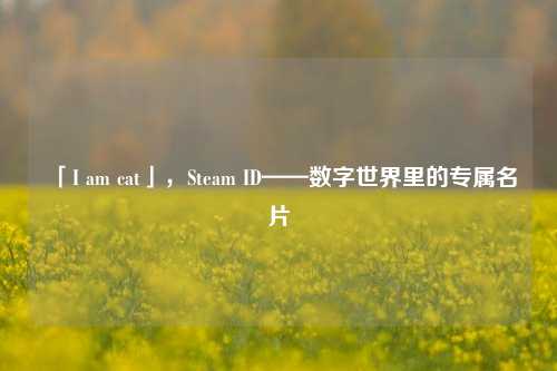 「I am cat」，Steam ID——数字世界里的专属名片