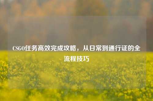 CSGO任务高效完成攻略,从日常到通行证的全流程技巧