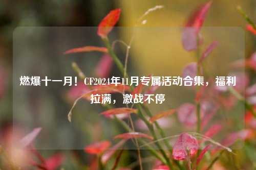 燃爆十一月！CF2024年11月专属活动合集，福利拉满，激战不停