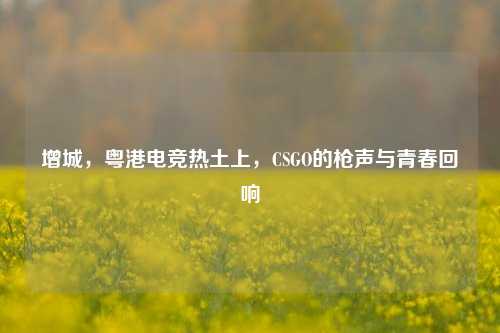 增城,粤港电竞热土上,CSGO的枪声与青春回响
