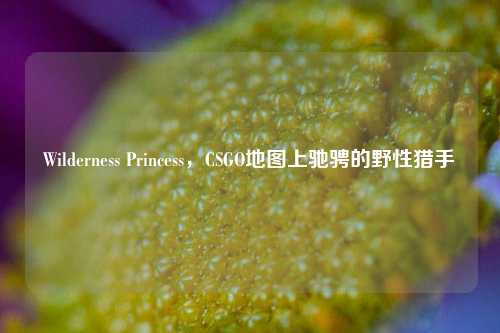 Wilderness Princess，CSGO地图上驰骋的野性猎手