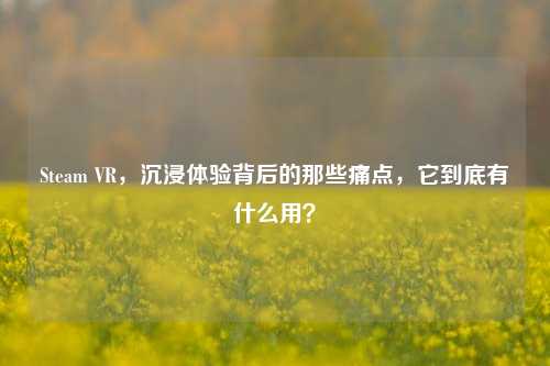 Steam VR,沉浸体验背后的那些痛点,它到底有什么用?