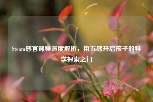 Steam感官课程深度解析,用五感开启孩子的科学探索之门