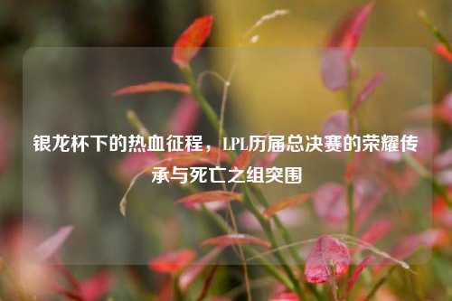 银龙杯下的热血征程,LPL历届总决赛的荣耀传承与死亡之组突围