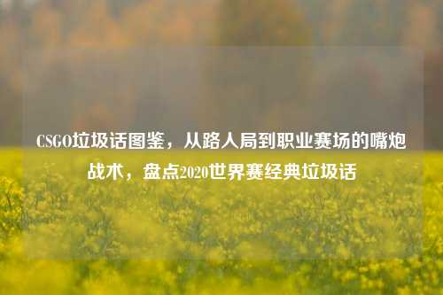CSGO垃圾话图鉴,从路人局到职业赛场的嘴炮战术,盘点2020世界赛经典垃圾话