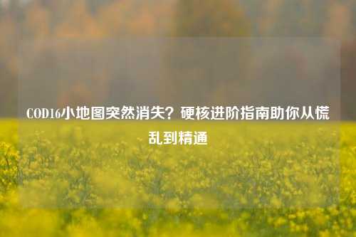 COD16小地图突然消失?硬核进阶指南助你从慌乱到精通