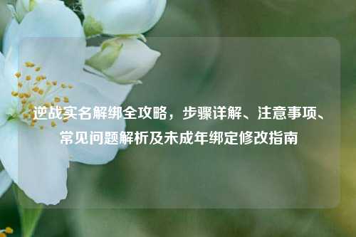逆战实名解绑全攻略,步骤详解、注意事项、常见问题解析及未成年绑定修改指南