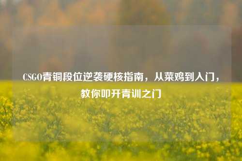 CSGO青铜段位逆袭硬核指南,从菜鸡到入门,教你叩开青训之门