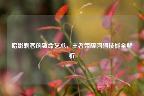 暗影刺客的致命艺术,王者荣耀阿轲技能全解析