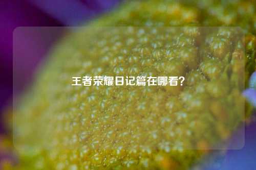 王者荣耀日记篇在哪看?